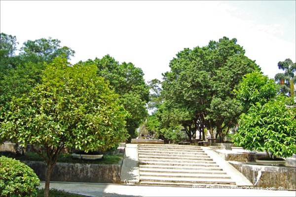 桂岭中学 桂岭中学