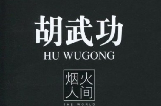 烟火人间(胡武功作品)