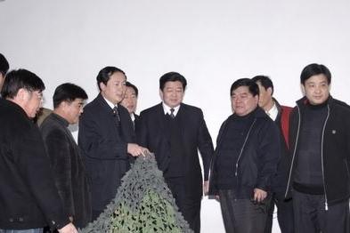 陈洋镇 陈洋镇
