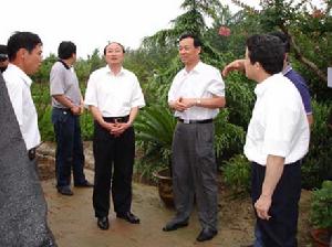 陈洋镇 陈洋镇
