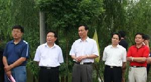 陈洋镇 陈洋镇