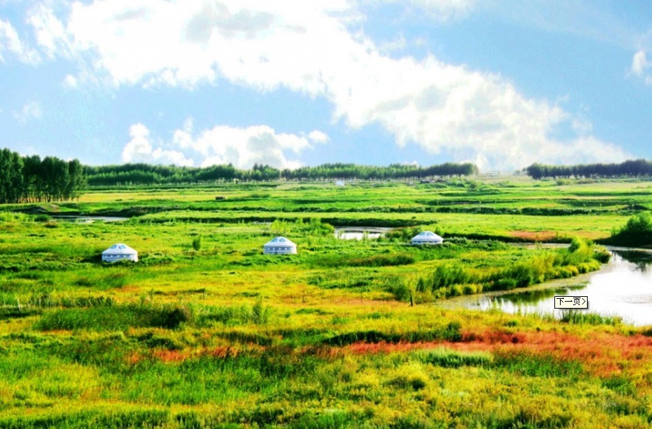 新青区(伊春市新青区)