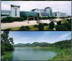 柳北区 柳北区