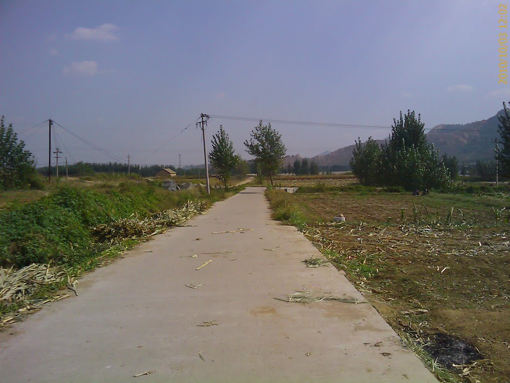 路那里村 路那里村