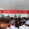 丰林镇2013年政府工作报告 丰林镇2013年政府工作报告