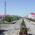 新青区(伊春市新青区) 新青区(伊春市新青区)
