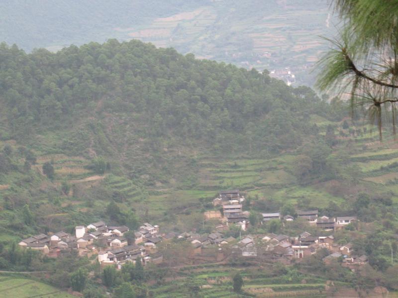 大湾村(贵州省习水县习酒镇大湾村) 大湾村(贵州省习水县习酒镇大湾村)