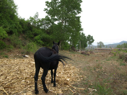 高家窑村(北京市延庆县香营乡下辖村)