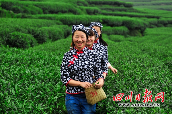 双河乡 双河乡