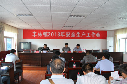 丰林镇2013年政府工作报告 丰林镇2013年政府工作报告