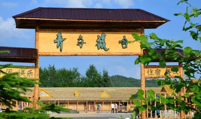 新青区(伊春市新青区)