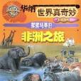 猩猩马基拉非洲之旅 猩猩马基拉非洲之旅