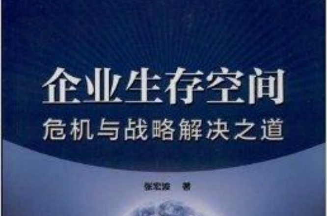 企业生存空间:危机与战略解决之道 企业生存空间:危机与战略解决之道