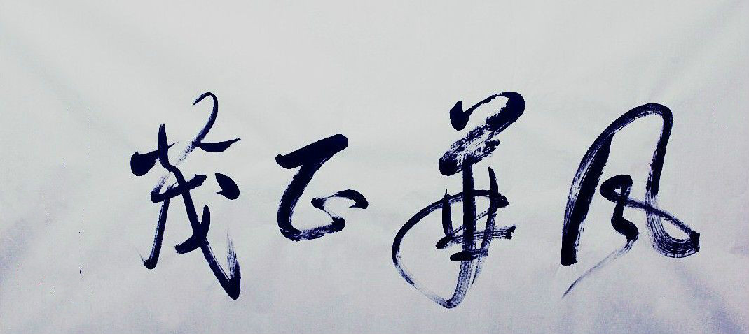 风华正茂 风华正茂