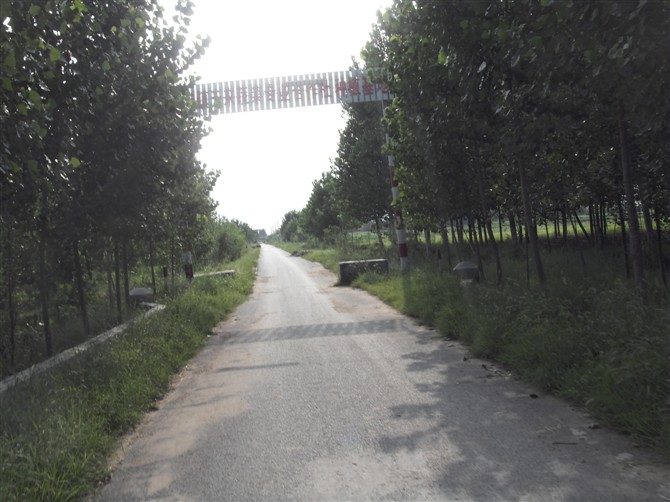 北陈村(郑店镇北陈村) 北陈村(郑店镇北陈村)