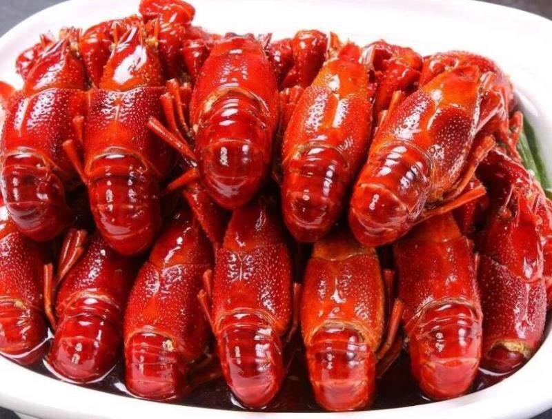 南县小龙虾 南县小龙虾