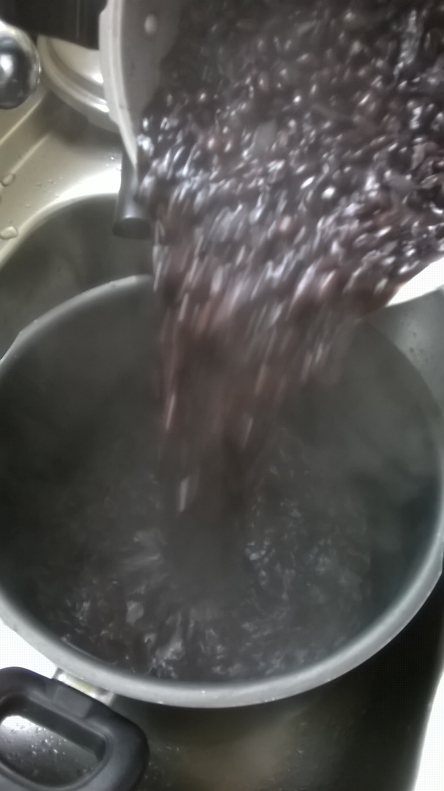 巴西国菜黑豆炖肉饭
