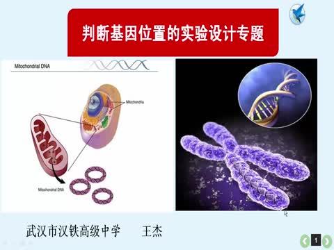 判断基因位置实验设计专题 判断基因位置实验设计专题