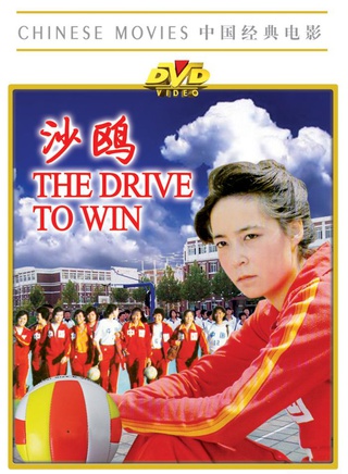 孙敏