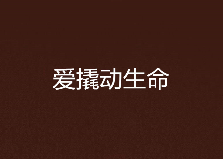 爱撬动生命 爱撬动生命