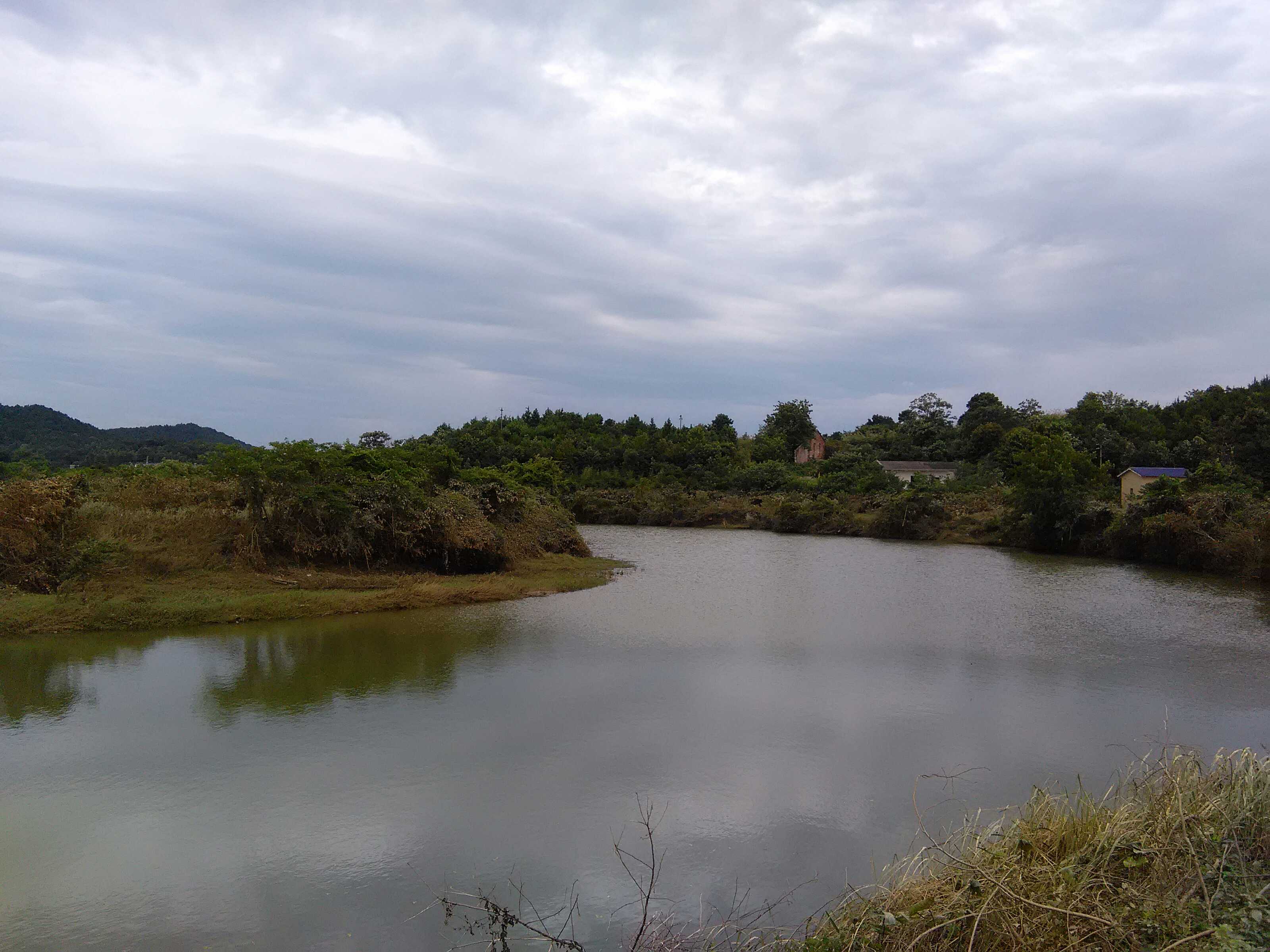 靳江河道林镇河东新村段 靳江河道林镇河东新村段