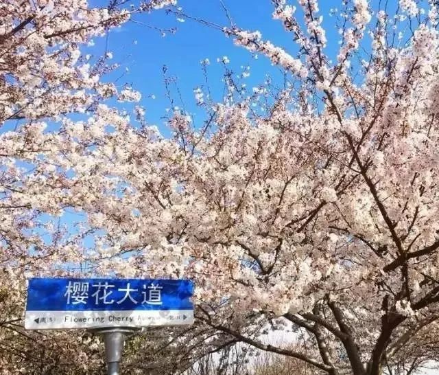 海洋大学站 海洋大学站