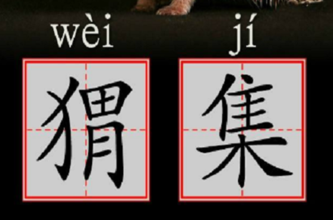 猬集 猬集