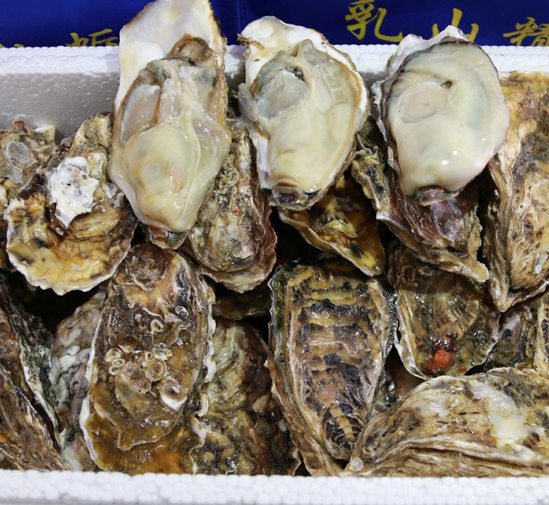 北海生蚝 北海生蚝