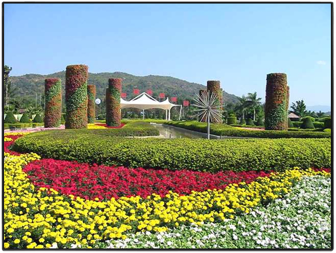 漳州东南花都 漳州东南花都