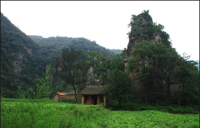 大月院寺 大月院寺