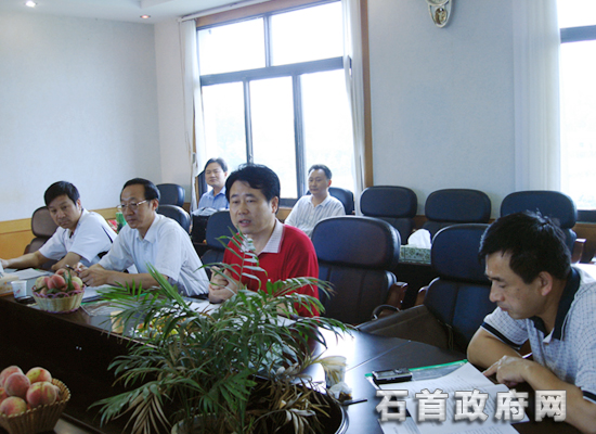 桃花山镇工作会议 桃花山镇工作会议