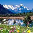 高山花园 高山花园