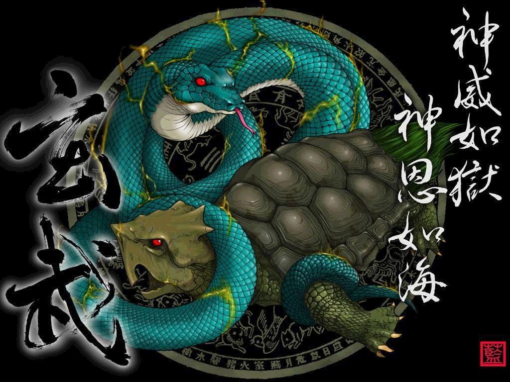北方玄武 北方玄武