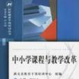 中国小课程与教学改革 中国小课程与教学改革