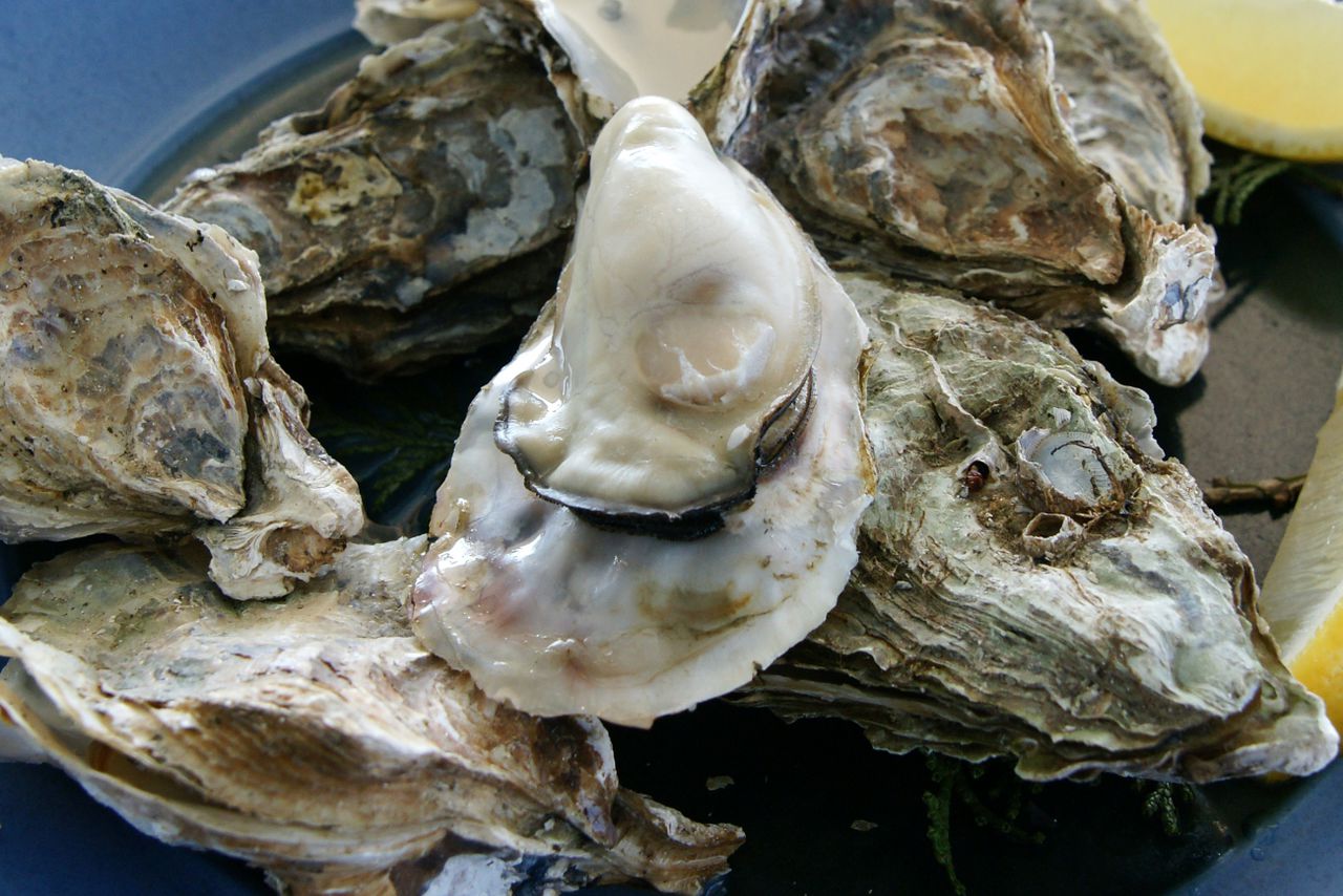北海生蚝 北海生蚝