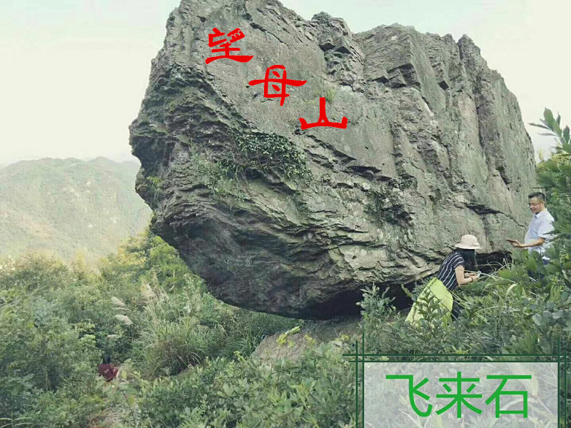 飞来石 飞来石