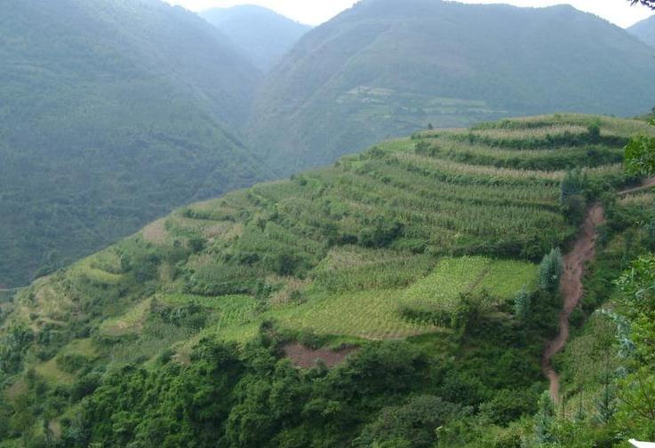 庄科村(云南省楚雄姚安县前场镇庄科村) 庄科村(云南省楚雄姚安县前场镇庄科村)