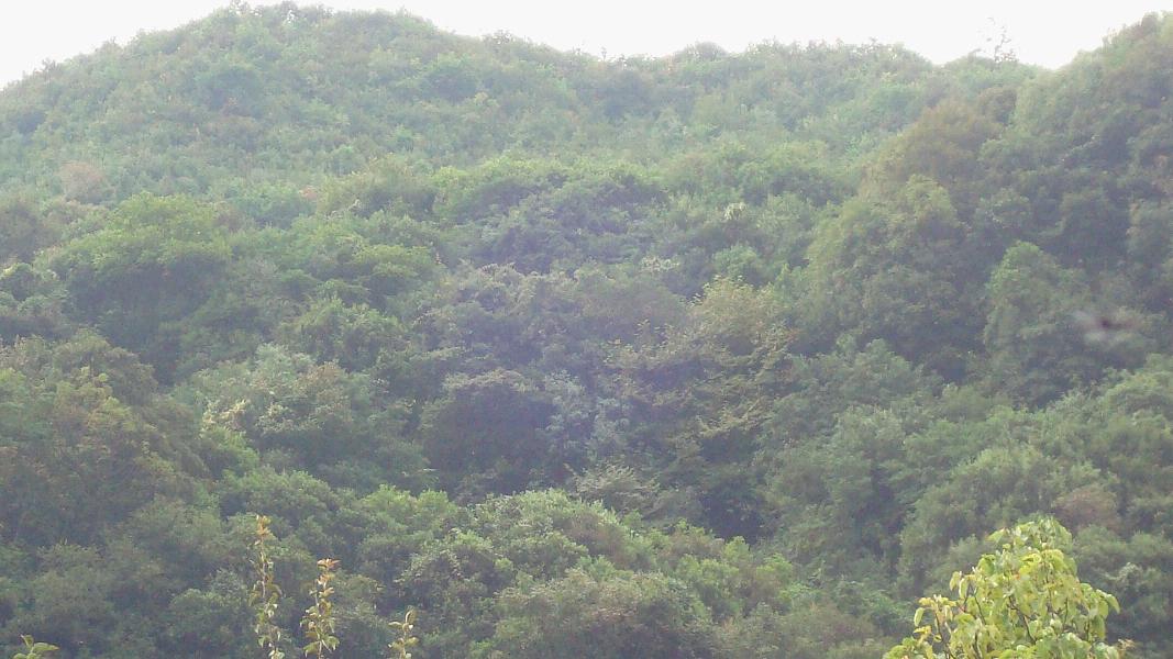 龙潭上村(云南省禄劝县九龙乡下辖村) 龙潭上村(云南省禄劝县九龙乡下辖村)