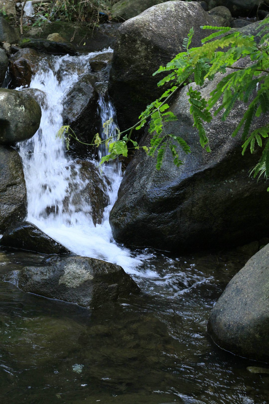 园山风景区 园山风景区