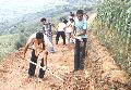 冀氏镇 冀氏镇