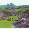 龙王岭风景区 龙王岭风景区