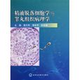 精液脱落细胞学与睪丸组织病理学 精液脱落细胞学与睪丸组织病理学