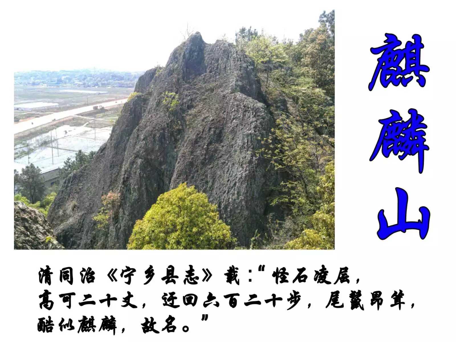 道林镇道林社区麒麟山 道林镇道林社区麒麟山
