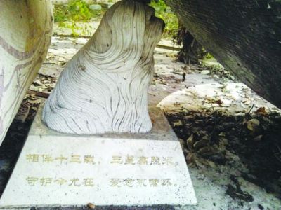 天价狗墓 天价狗墓