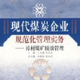 现代煤炭企业规範化管理实务:漳村煤矿绩效管理 现代煤炭企业规範化管理实务:漳村煤矿绩效管理