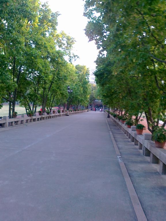 主校道 主校道