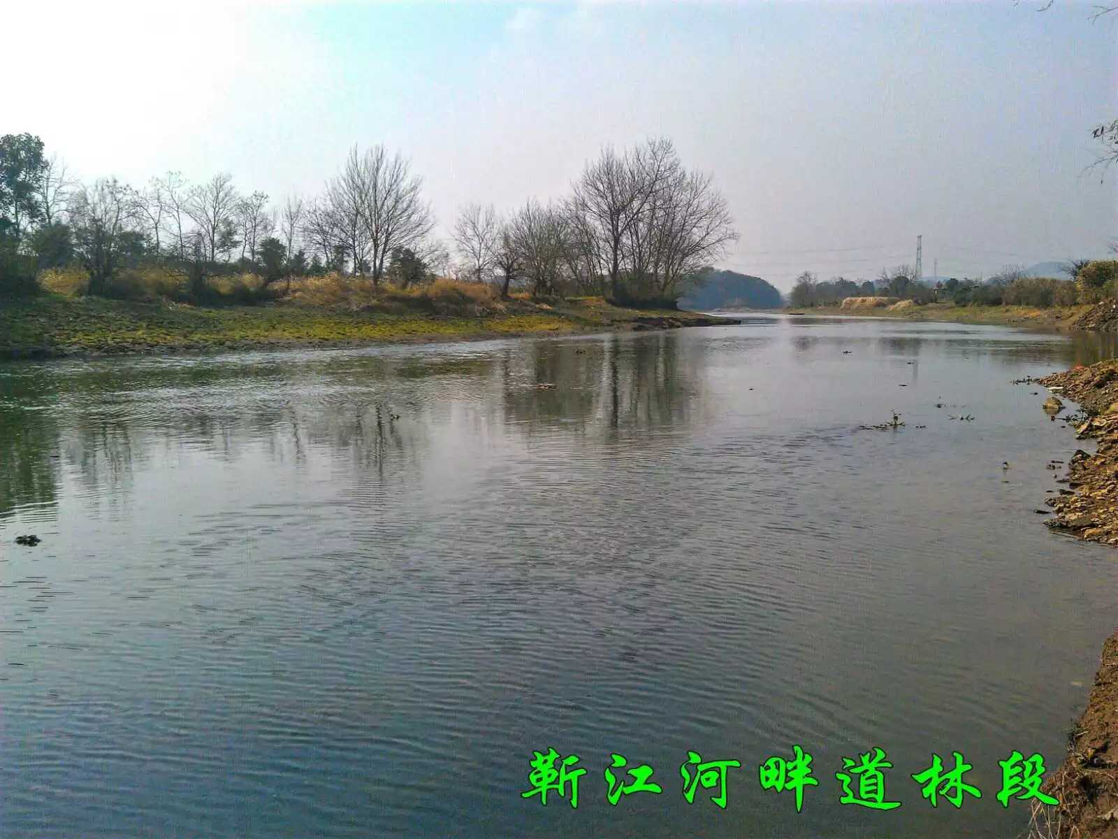 靳江河道林镇龙泉湖村段 靳江河道林镇龙泉湖村段