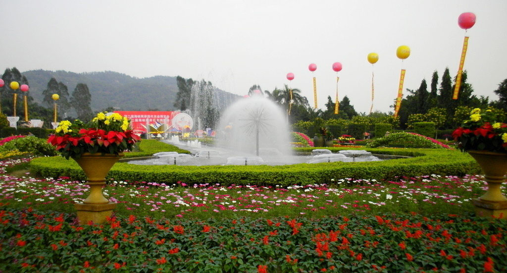 漳州东南花都 漳州东南花都