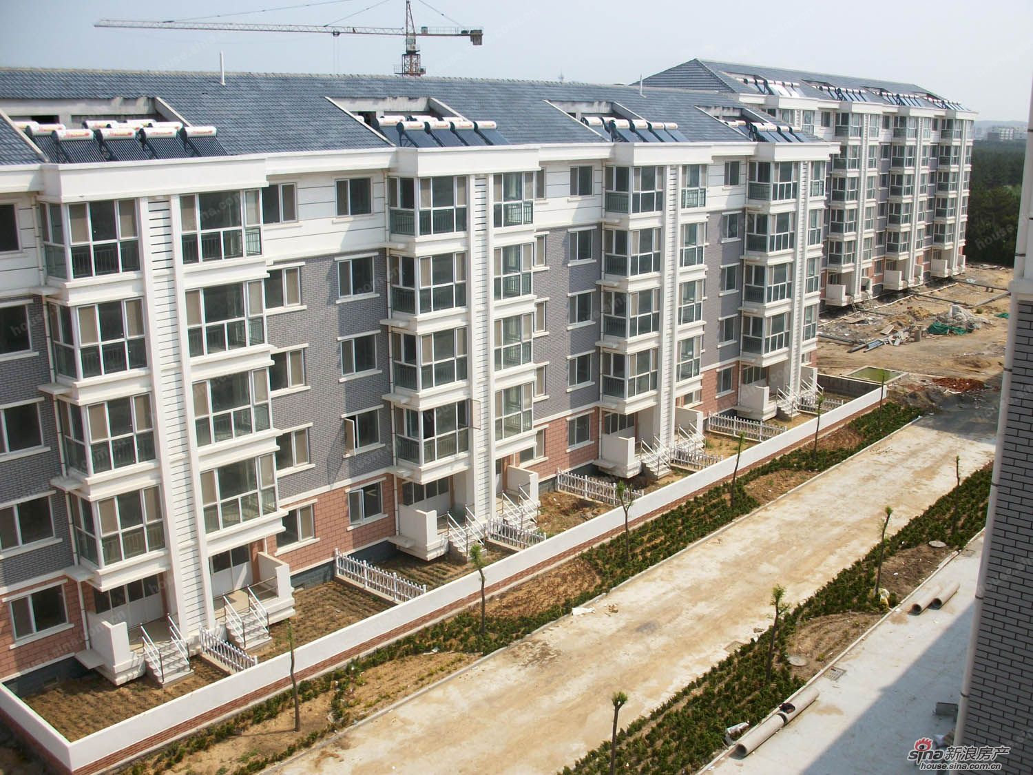 成山社区 成山社区