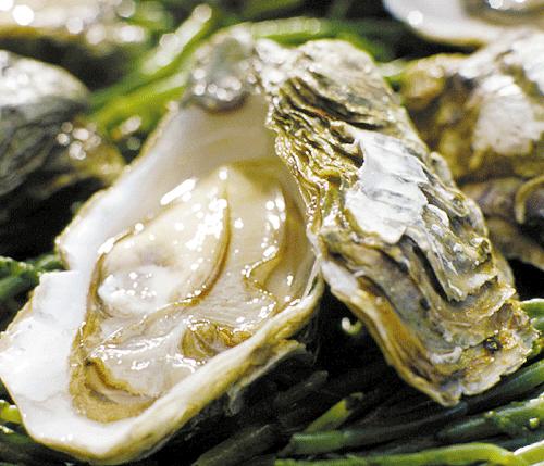 庄河牡蛎 庄河牡蛎